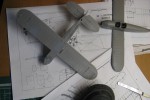 IMG_8178.JPG